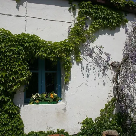 Agriturismo Stazzo La Cerra Фермерский дом Aggius